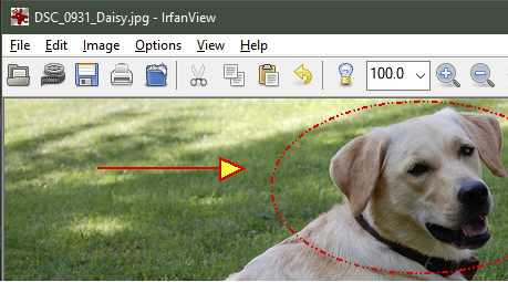 Smartphone-Fotos mit Irfanview für Windows auf der Landkarte anzeigen