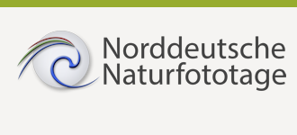 Foto-Festival
Norddeutsche Naturfototage bieten ein reichhaltiges Programm