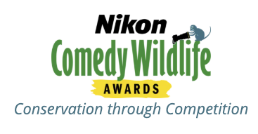 Nikon Comedy Wildlife Awards 2026: Zeigt her eure lustigsten Tierfotos!