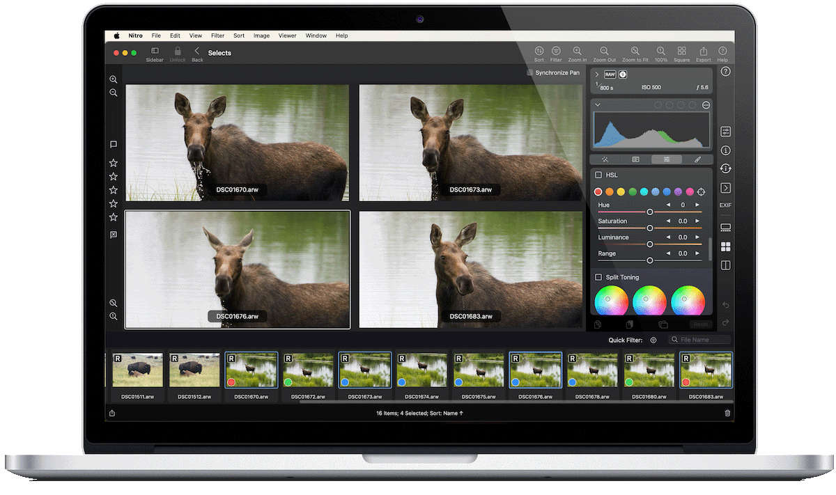 Nitro Photo für macOS vorgestellt