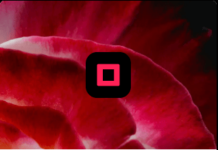 Topaz Gigapixel v8.4.2 ist Online 