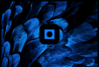 Topaz Photo AI v4.0.2 ist Online