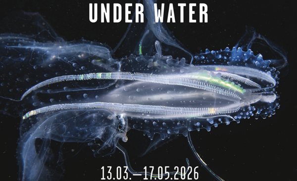 WestLicht. Schauplatz für Fotografie Wien: Ausstellung „Unter Wasser“