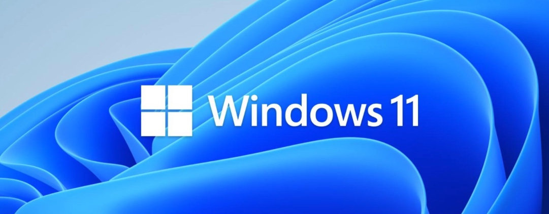 Notfall-Patch für Windows 11